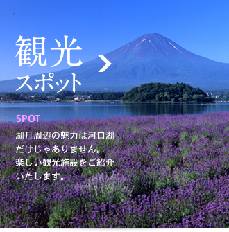 観光スポット