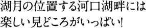 湖月の位置する河口湖畔には楽しい見どころがいっぱい!