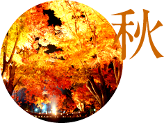 秋のイベント