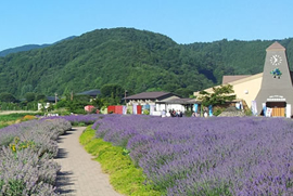 河口湖自然生活館