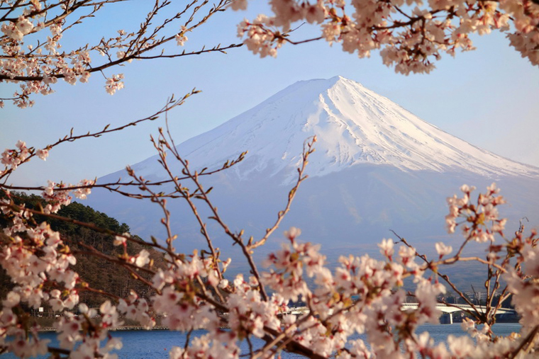 The Dream Fuji