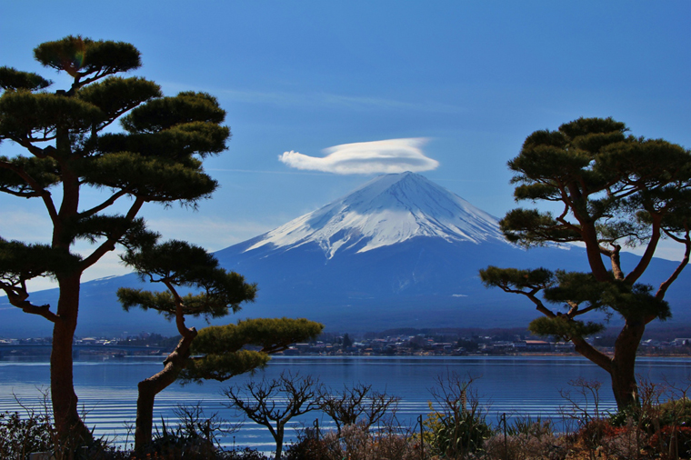 松と富士山